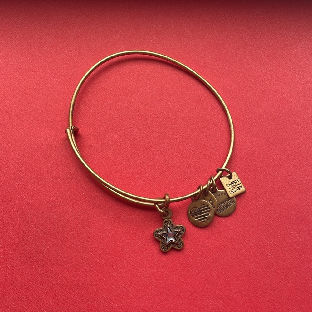 True wish charm bracelet- Alex and Ani - Picture 4 of 8